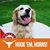 Jose J. Briales's profile image