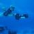 Didier Drevet's profile image