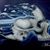 Anita Froman Hoppe's profile image