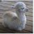 Ken Brown's profile image