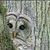 Eric Derscheid's profile image