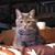 Cindy Rockwell's profile image