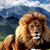 Shawn Asay Baxter's profile image