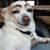 Jennifer Stephens McCarley's profile image