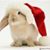 Cathy Tyler Beaman's profile image