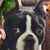 Wayne Suttles's profile image