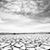 Melody Orris Collins's profile image