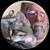 Roger Lee's profile image