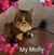Gabriele Wolczanski's profile image