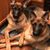 Lori Scott Hess's profile image