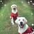 Heather M Stull-Anglin's profile image