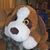 Jessie A Justus's profile image
