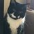 Jodi Simpson's profile image