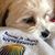 Josie Sauppe's profile image