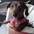 Valerie Dolese's profile image