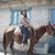 Martha Meza's profile image