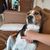Diana Chaves's profile image