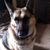 Mark Coffelt's profile image