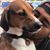 Julian Talavera's profile image