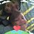 Steven Ostiguy's profile image