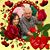 Teresita Abate's profile image