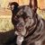 Kevin Henneinke's profile image