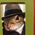Julie Radabaugh's profile image