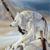 John Gainer's profile image