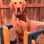 Nancy Cook's profile image