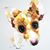 Greg Styer's profile image