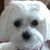 Jill Van Plew's profile image