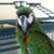 Arionne McCartney Hutton's profile image