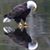 Scott Schwerin's profile image