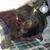 Jackie Lisk's profile image