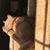 Sydney Holzman's profile image