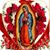 Cesar Lovo's profile image