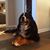 Jamie Heinen Baer's profile image