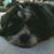 Linda Cory's profile image