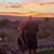 Dave Nelson's profile image