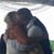 Jessica Malson's profile image