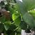 Linda Doster Stevens's profile image