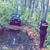 Hailey Salemi's profile image
