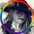Robbyn Ackner's profile image
