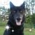 Melissa Sue Whitham's profile image