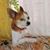 Jun Ortiz's profile image