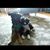 Chris Scott's profile image