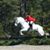 Neil Schwartzberg's profile image