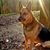 Tracey Pattarozzi Stiegler's profile image