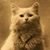 Mollie Wheatley's profile image