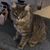 Judy Schaefer's profile image